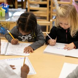 niños trabajando en una actividad en el aula