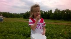 Strawberry Picking